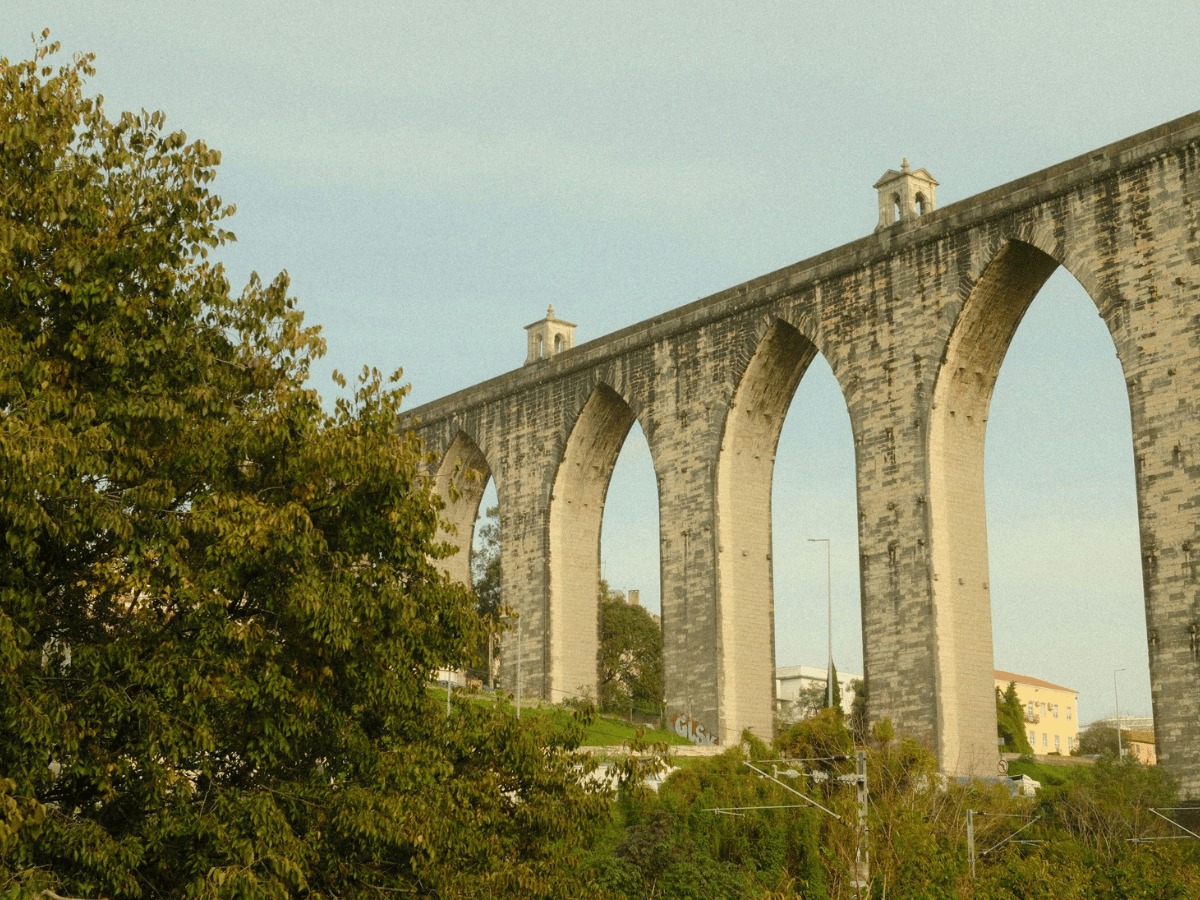 Peyzaj çizim planı