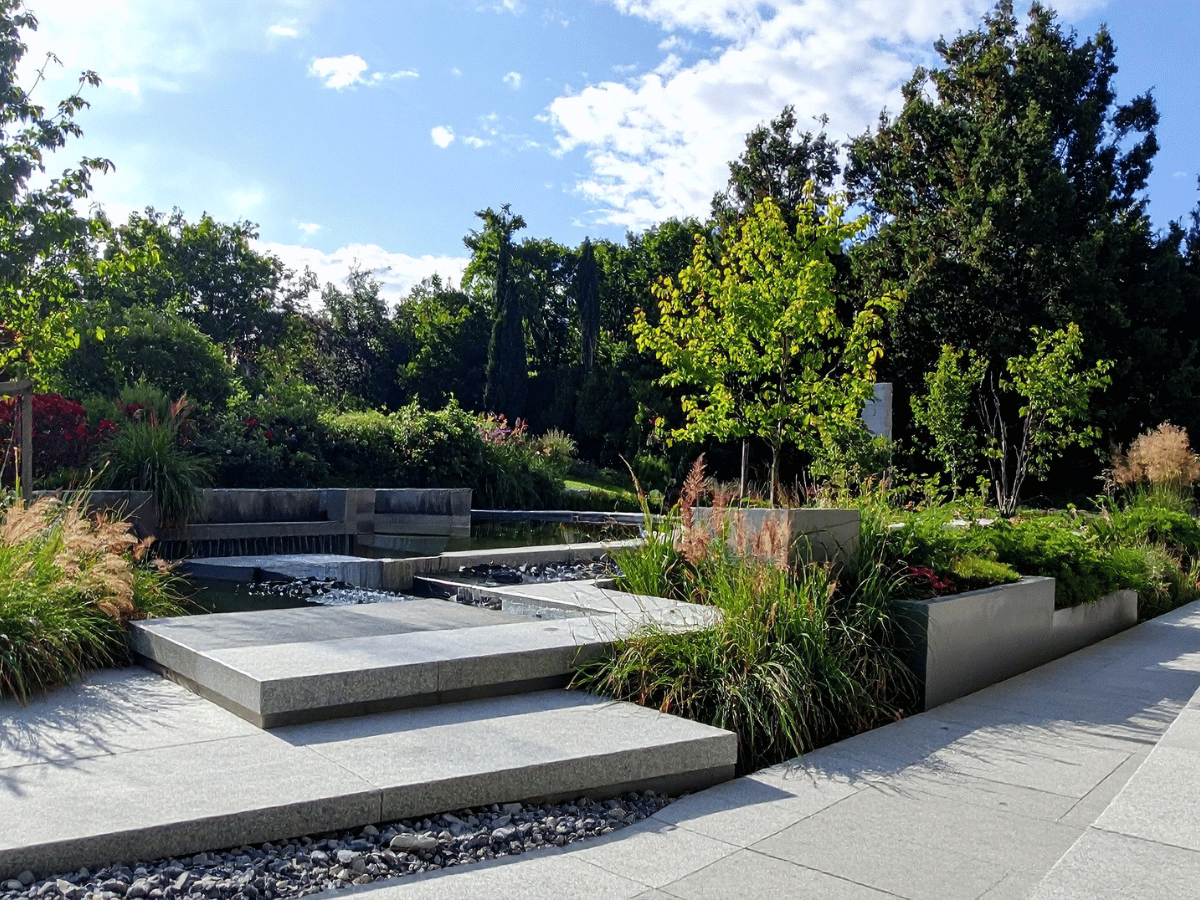 Nadir ve egzotik bitki tohumları