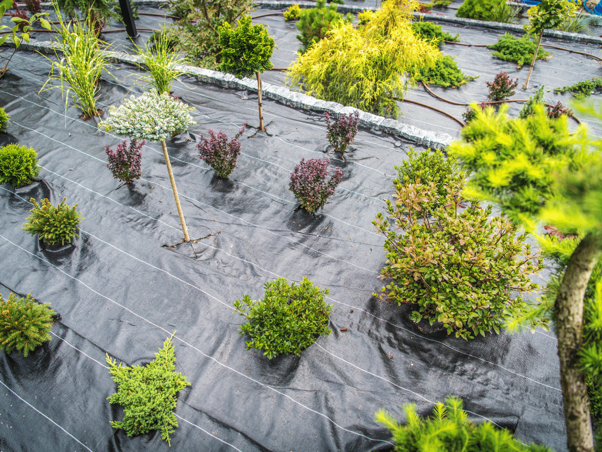 Mutlu müşteri Ayşe K.