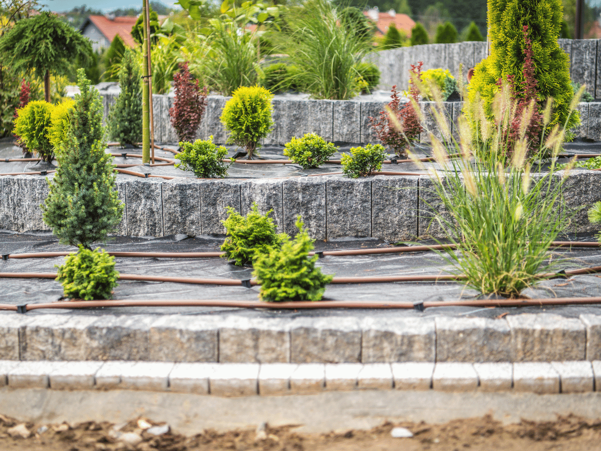 Mutlu müşteri Mehmet T.